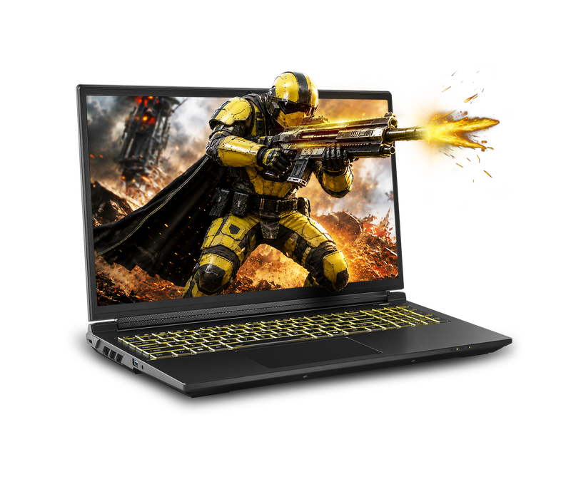 Sager NP7560M Gaming Laptop