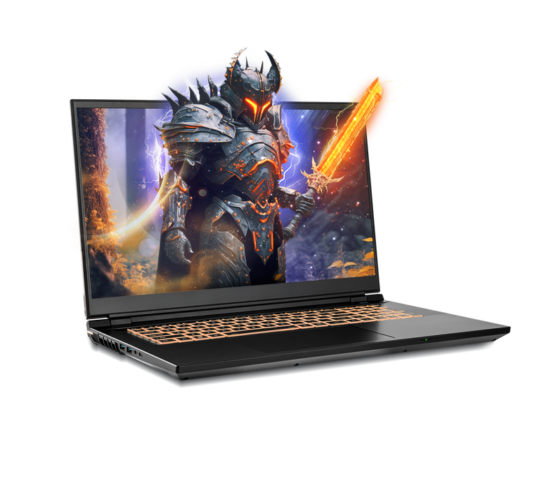 Previously Leased Laptop - SKU PO-34527