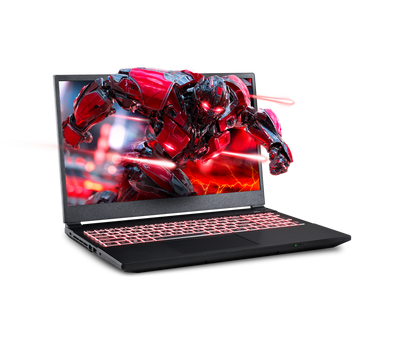Sager NP5251M Gaming Laptop