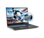 Sager NP6561N Gaming Laptop