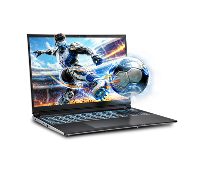 Sager NP6561N Gaming Laptop