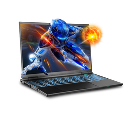Sager NP6750P Gaming Laptop