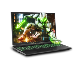 Sager NP7560N Gaming Laptop