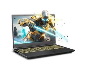 Previously Leased Laptop - SKU PO-35870