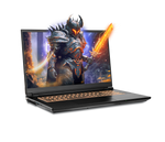 Previously Leased Laptop - SKU PO-34527