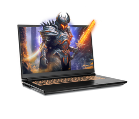 Previously Leased Laptop - SKU PO-34527