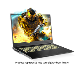 Previously Leased Laptop - SKU PO-40982